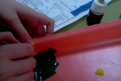 proceso-hickethier-11