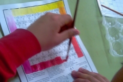 proceso-hickethier-13