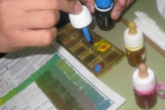 proceso-hickethier-calidad-baja