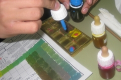 proceso-hickethier